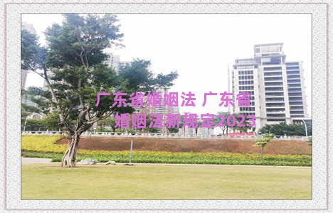 广东省婚姻法 广东省婚姻法新规定2023